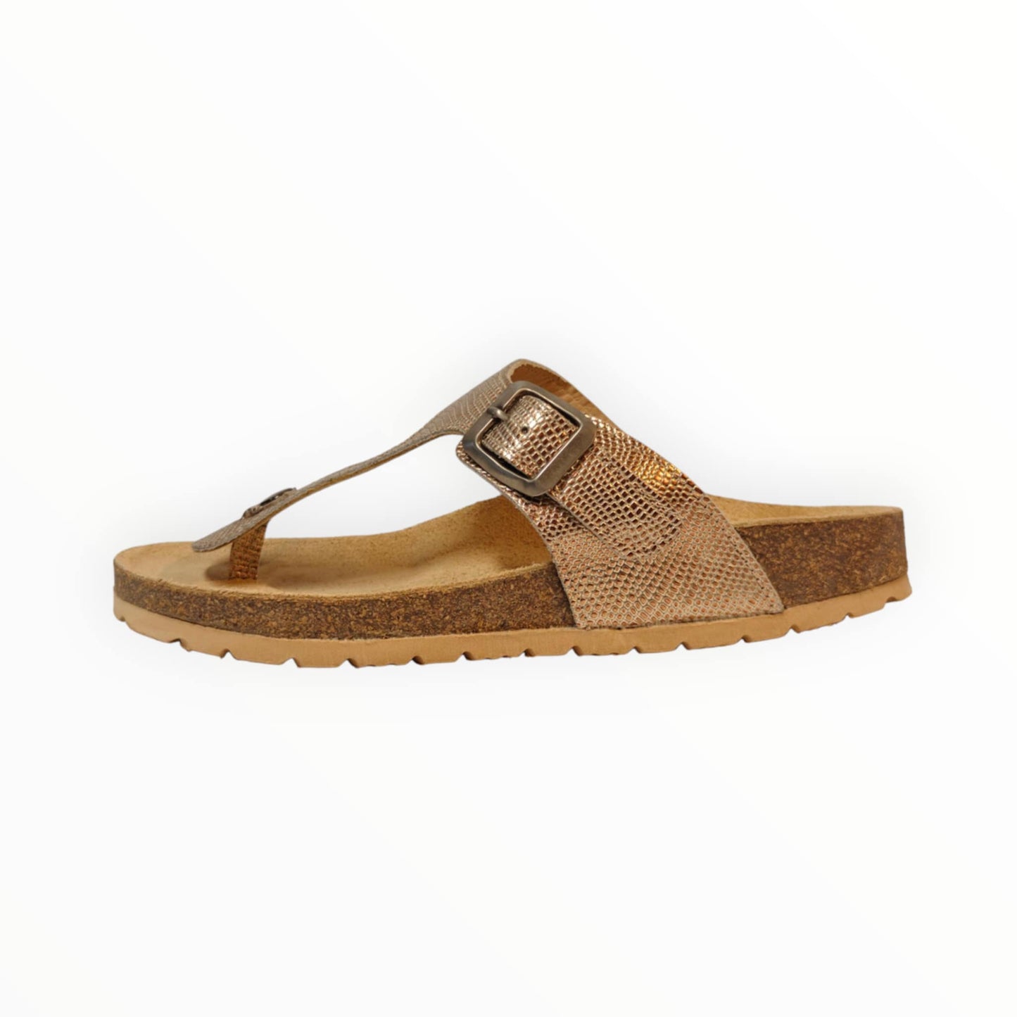 Slides Collection by Pons